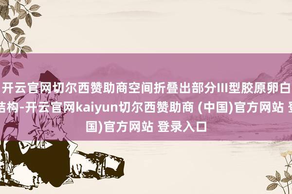 开云官网切尔西赞助商空间折叠出部分III型胶原卵白的高档结构-开云官网kaiyun切尔西赞助商 (中国)官方网站 登录入口