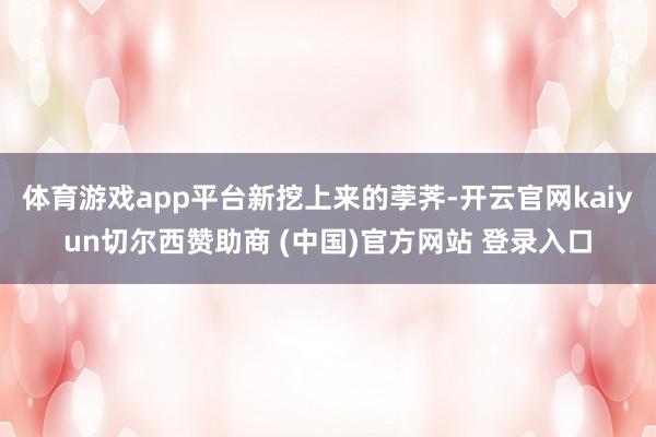 体育游戏app平台新挖上来的荸荠-开云官网kaiyun切尔西赞助商 (中国)官方网站 登录入口