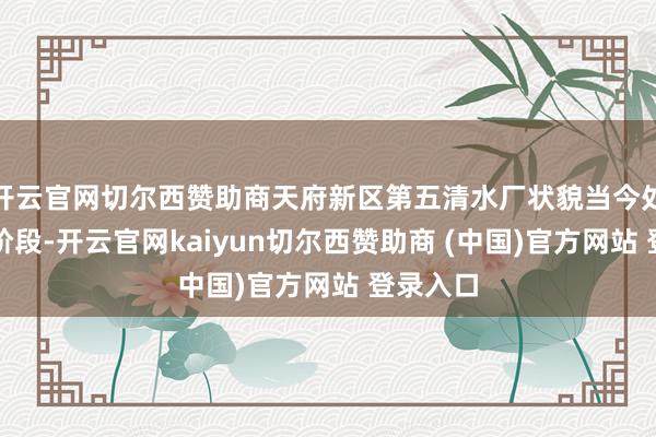 开云官网切尔西赞助商天府新区第五清水厂状貌当今处于调试阶段-开云官网kaiyun切尔西赞助商 (中国)官方网站 登录入口