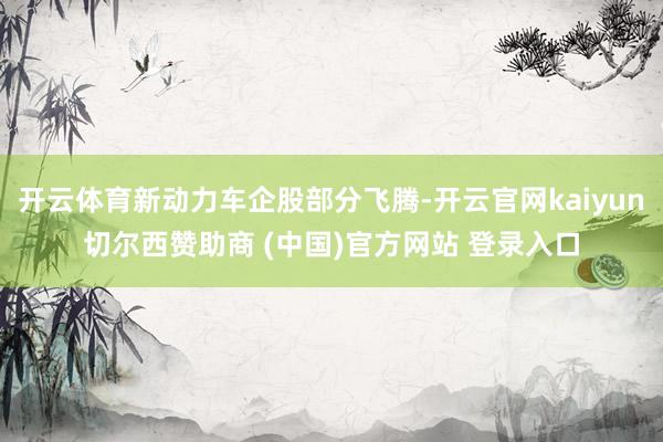 开云体育新动力车企股部分飞腾-开云官网kaiyun切尔西赞助商 (中国)官方网站 登录入口